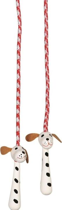 Immagine prodotto Goki Springseile (240 cm)