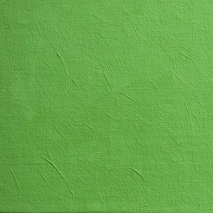 Image du produit BlockX - Vert de cadmium foncé (200 ml)