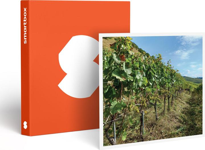 Image du produit Smartbox Dégustation de vin en duo avec planche à partager et balade dans les vignes près de Sion (2 Personnes)