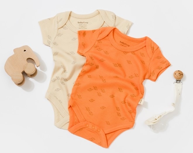 Stone, Apricot