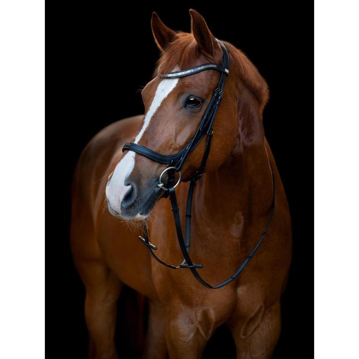 Image du produit Horse Guard Tine