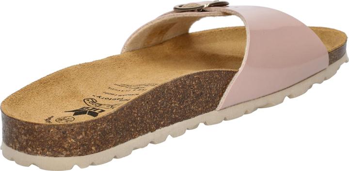 Image du produit Lico Bioline Once (40)