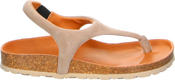 Actual product image Verbenas REAGAN Piedra (40)