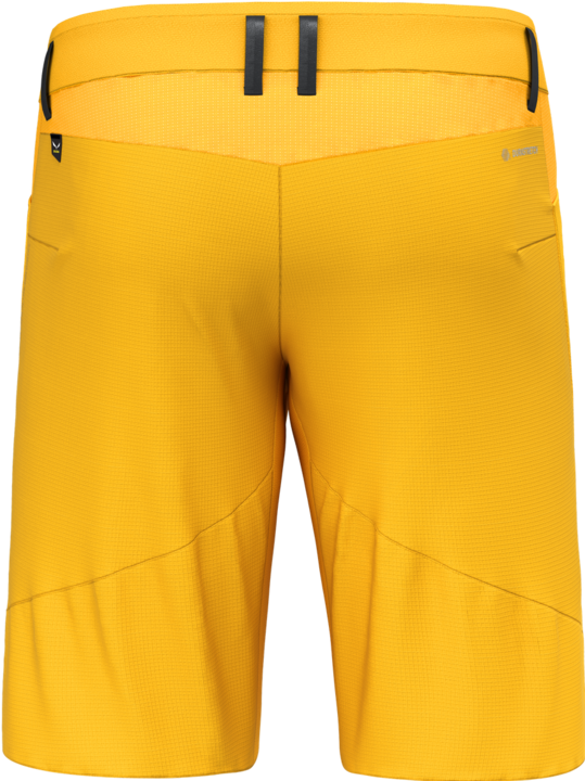 Actual product image Salewa Agner DST Shorts (54)