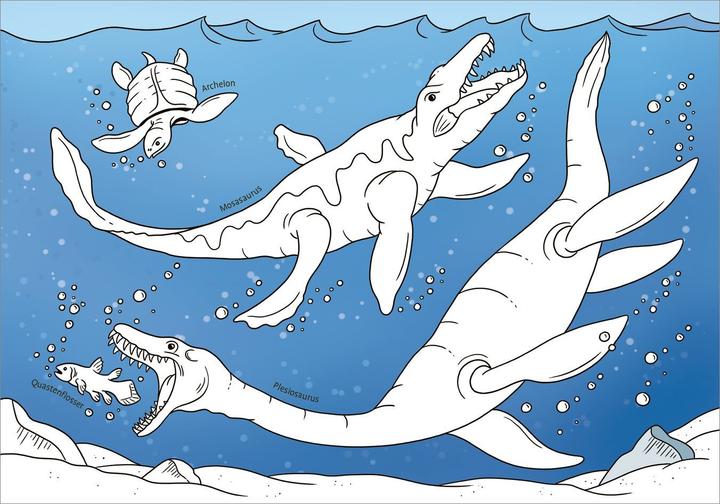 Immagine prodotto Tessloff Il mio più bel libro da colorare. Dinosauri