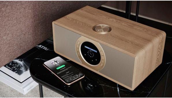 Actual product image Sharp DR-I470(BR)PRO (FM, DAB+, Wi-Fi)