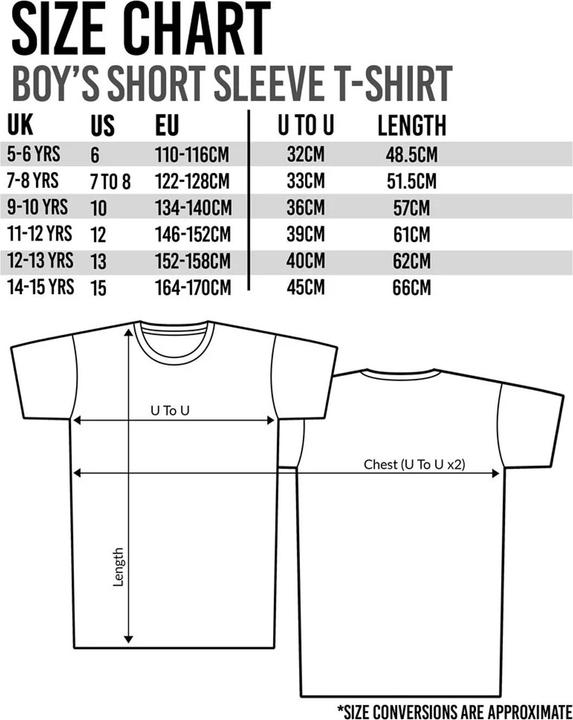 Image du produit Minecraft Inside T-shirt garçon (164, 170)