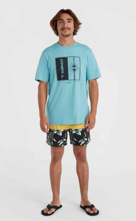Actual product image O'Neill MIX & MATCH CALI BLOCK 15" SWIM SHORTS (L)