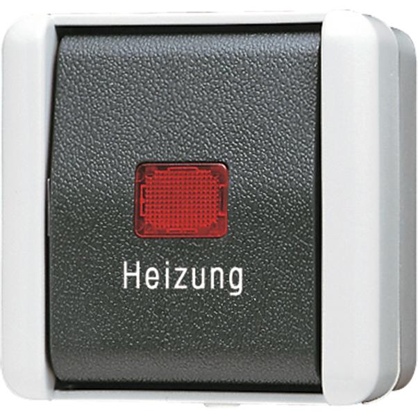 JUNG Heizung-Notschalter, Taster + Schalter, Grau