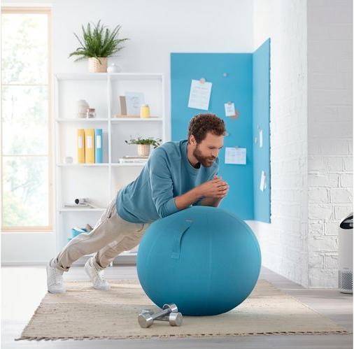 Immagine prodotto Leitz Palla per sedersi Ergo Cosy Active (65 cm)