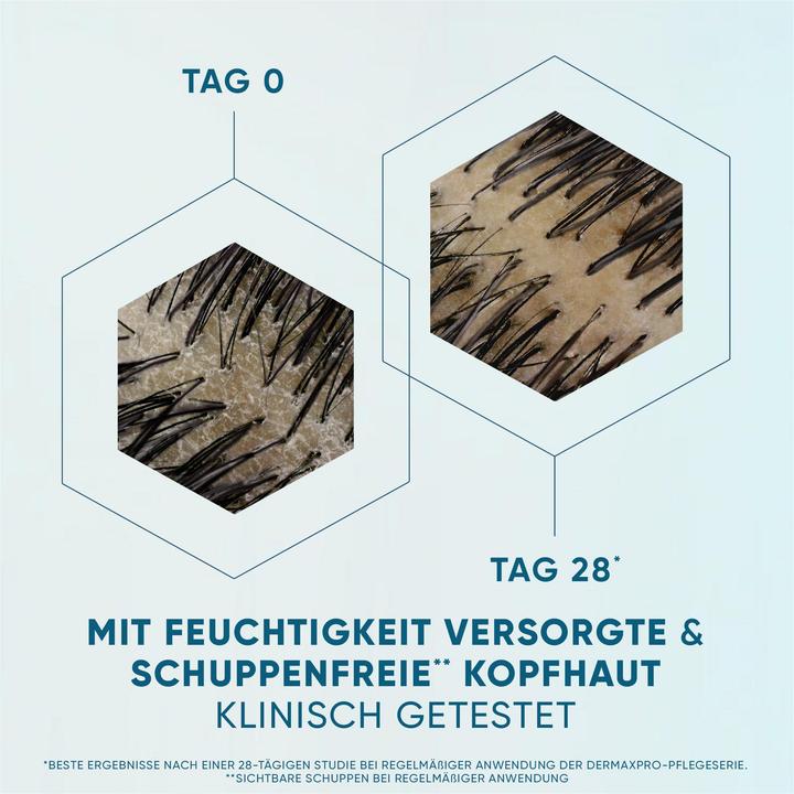 Produktbild Head & Shoulders Derma X Pro Shampoo Pure Hydration Shampoo 250 ml (Flüssiges Shampoo)