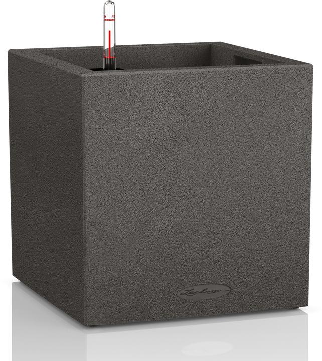 Produktbild Lechuza Canto (30 x 40 x 30 cm)