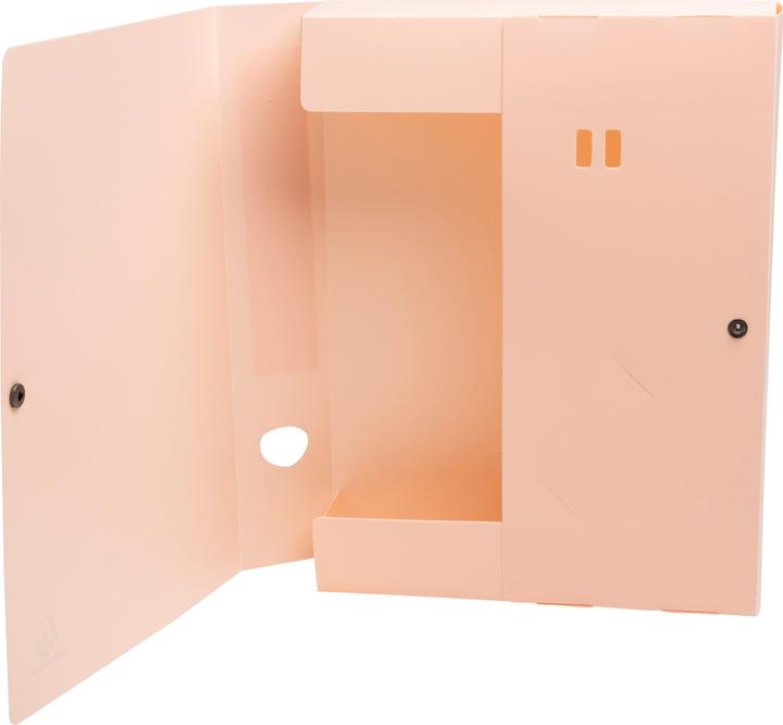 Produktbild Exacompta Archivbox mit Druckknopf, Rückenbreite 60mm, Recycling-PP, Skandi (A4)