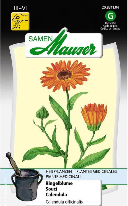 Samen Mauser Ringelblume (Pflanzensamen)