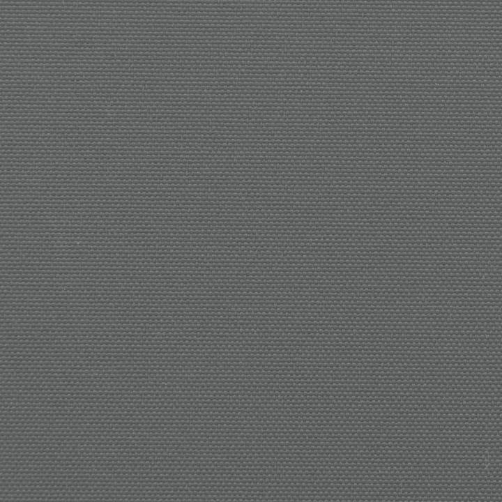 Image du produit vidaXL ausziehbare Seitenmarkise (6 m)