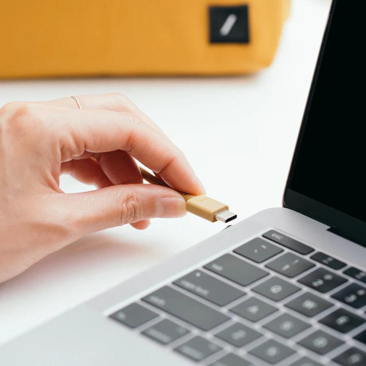 Image du produit Native Union Anchor (3 m, USB 2.0, 240 W)