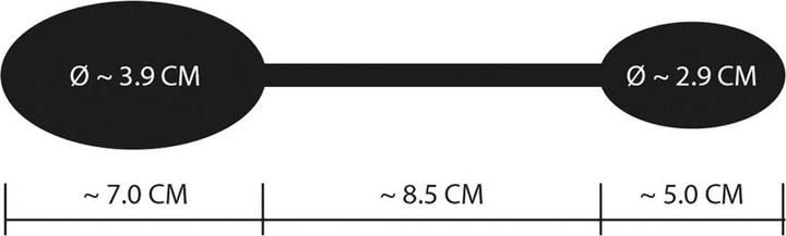 Immagine prodotto GoGasm Pussy & Ass Balls