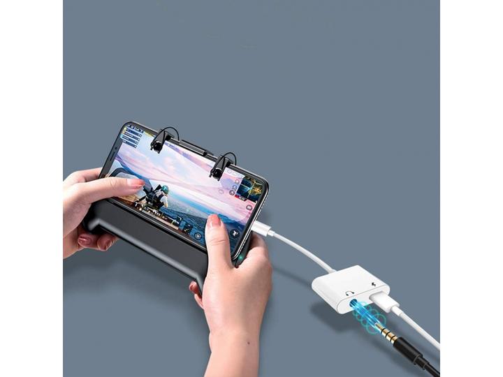 Actual product image PowerGuard Lightning 3.5mm Headphone Audio Adapter & Charge (Lightning, 3.5mm jack)