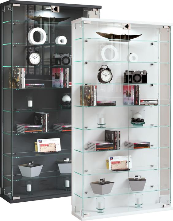 VCM Wandvitrine Glasvitrine Relas L (59 x 17 x 114 cm)
