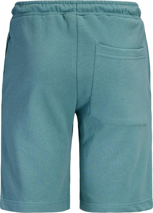 Image du produit Jack & Jones Junior Hose GORDON Shorts (152)