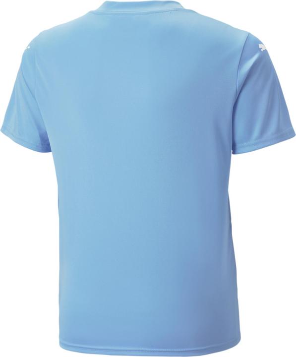 Produktbild Puma teamULTIMATE Jersey Jr (164)