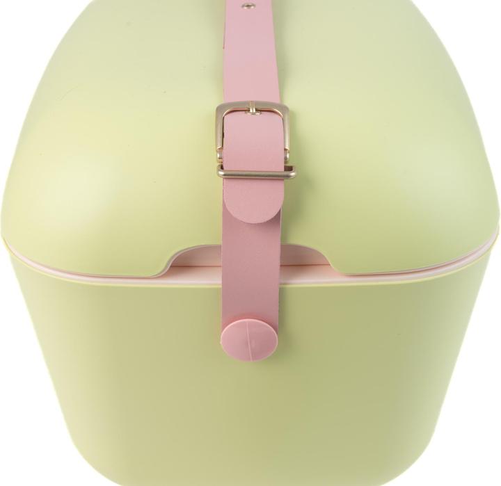 Actual product image Polarbox Retro Cooler Lime 20l (20 l)