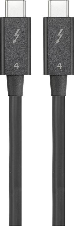 Image du produit Renkforce Câble Thunderbolt™ Thunderbolt™ 4 Thunderbolt™ (USB-C®) mâle, Thund (0.80 m, USB 4.0)
