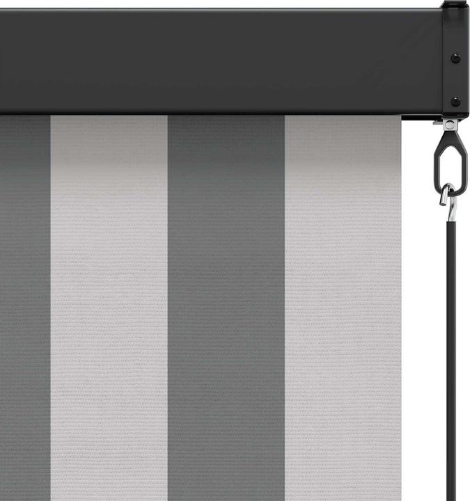Produktbild vidaXL Outdoor Rollo (100 x 250 cm)