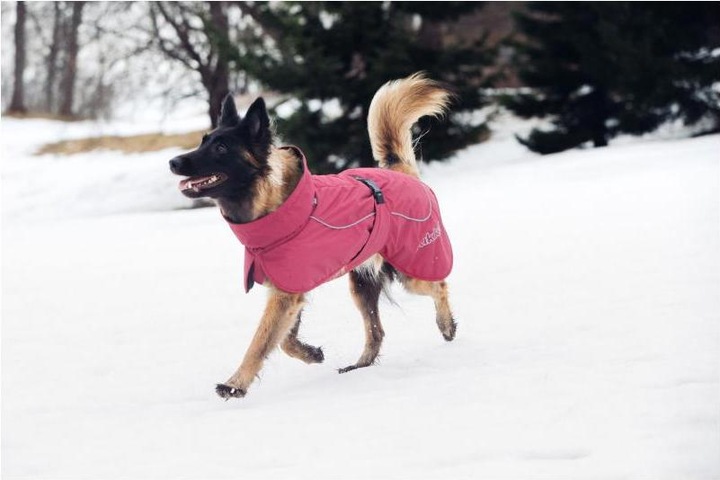Produktbild Rukka Stormy (30, Hundemantel)