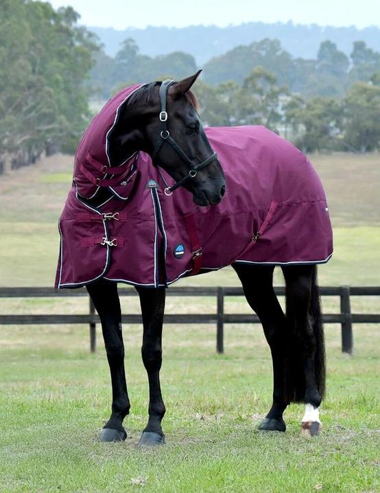 Actual product image Weatherbeeta Comfitec Essential Combo 220g (155 cm)