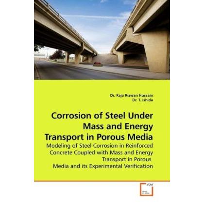 Corrosion of Steel Under Mass and Energy Transport in Porous Media, Fachbücher von Raja R. Hussain, T. Ishida