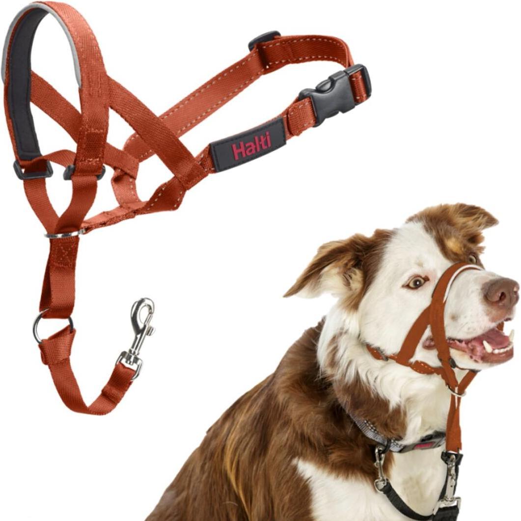 Comparer les prix de Muselière Company of Animals BURNT Orange 2