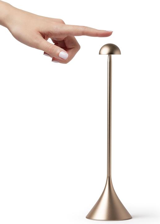 Actual product image Lexon Steli Dome (120 lm)