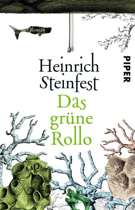 Produktbild Das grüne Rollo (Deutsch, Heinrich Steinfest, 2016)