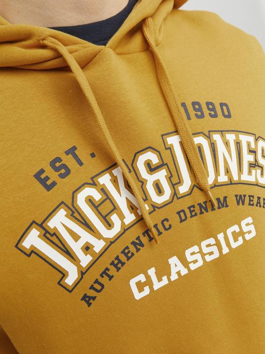 Actual product image Jack & Jones Logo Hoodie (L)