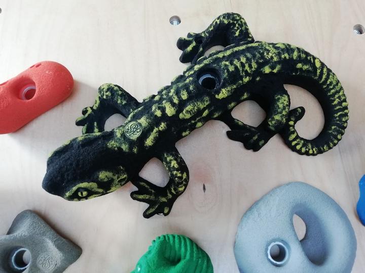 Image du produit Kletterbude Prises d'escalade Enfants Kit complet StarterKids Diversité (Multicolore)