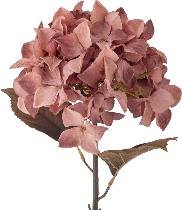 Produktbild Bloomingville Hydrangea (65 cm)
