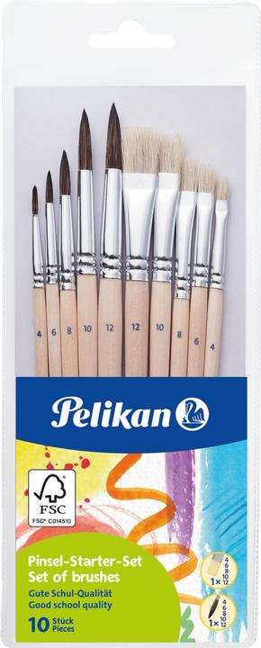 Pelikan Brush Starter Set