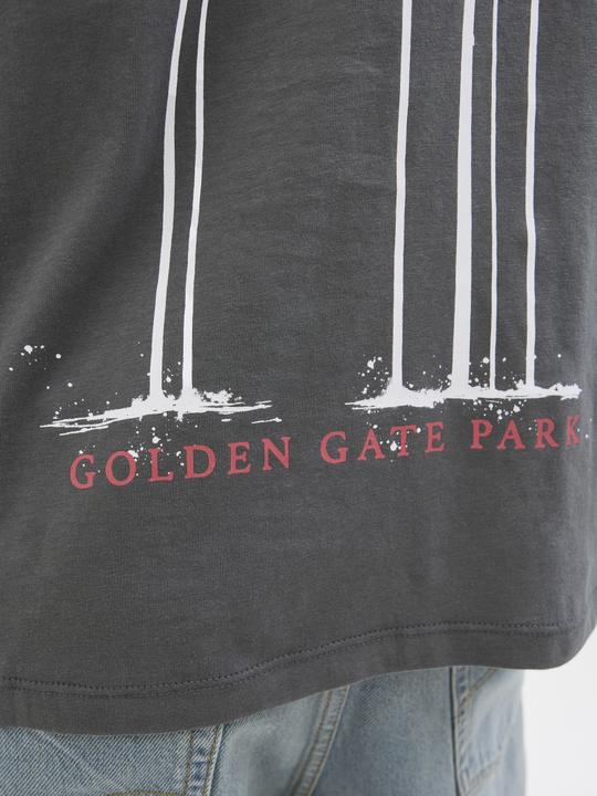 Actual product image Jack & Jones Jorbradley Goldengate Tee Ss C.N Stmss25 (S)