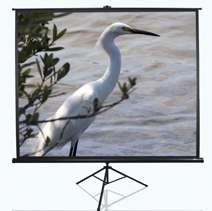 Produktbild Elite Screens Tripod (120", 4:3)