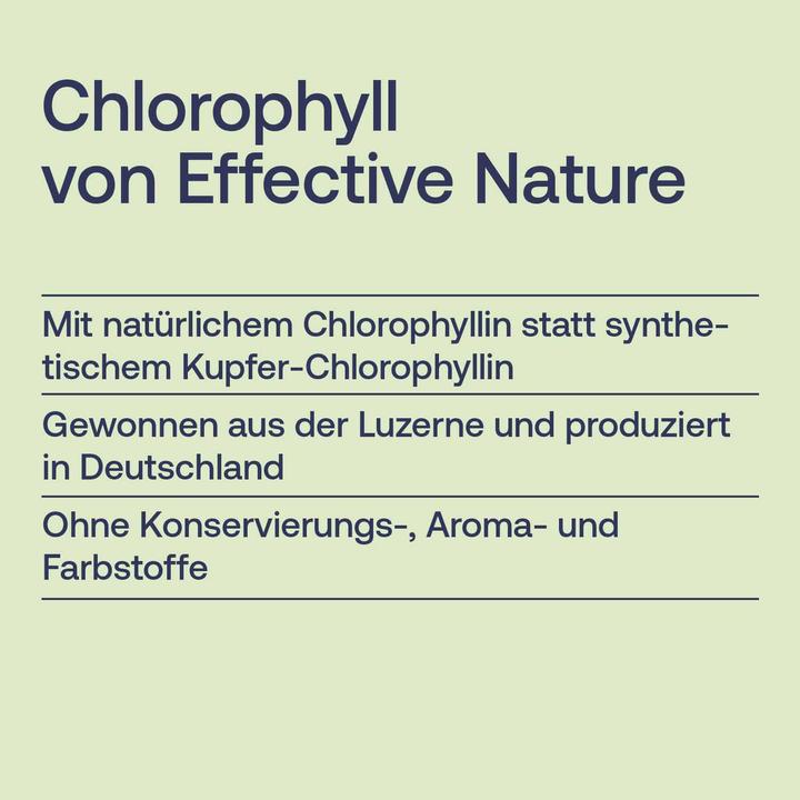 Actual product image Effective Nature Chlorophyll (1 Piece, Liquid)