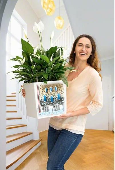 Produktbild Lechuza Cube 30 (29.50 x 29.50 x 30 cm)