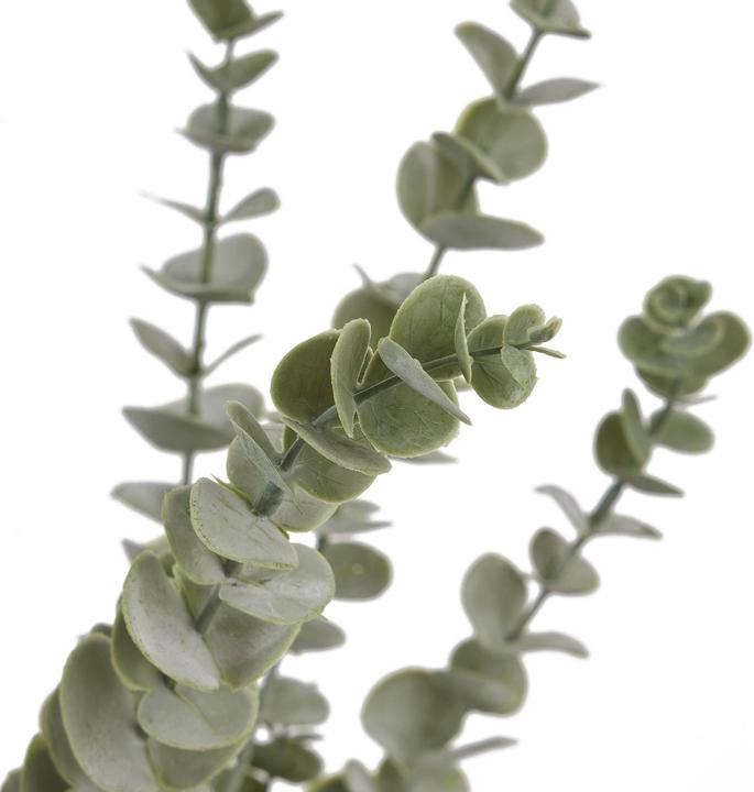 Actual product image Hill Interiors Gunnii Eucalyptus Spray Artificial Flower (90 cm)