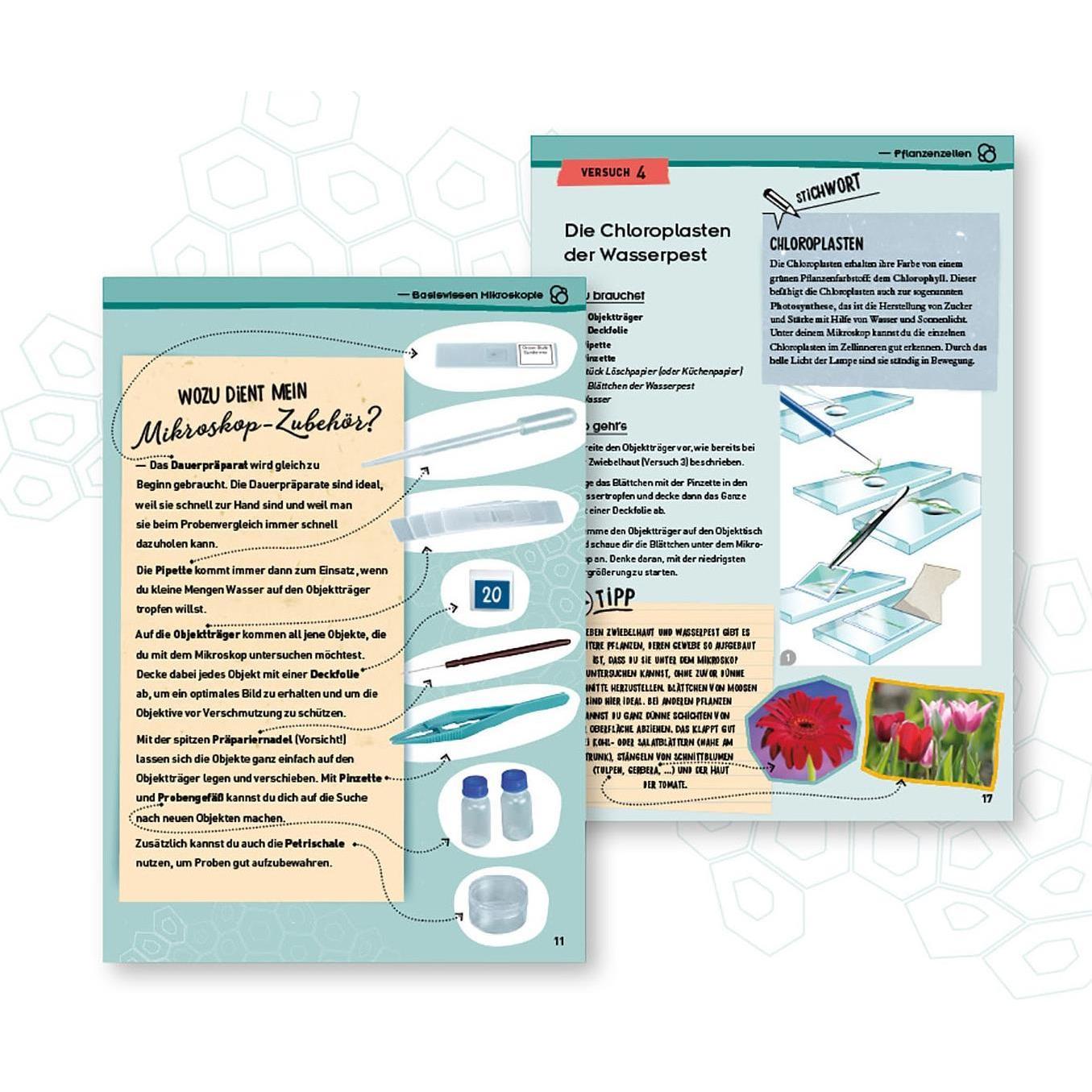 Thumbnail - Kosmos Entdecker-Mikroskop