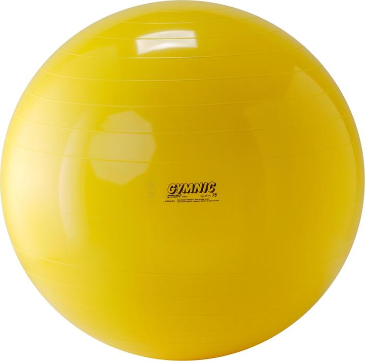 Immagine prodotto Ledraplastic Palla per esercizi (75 cm)