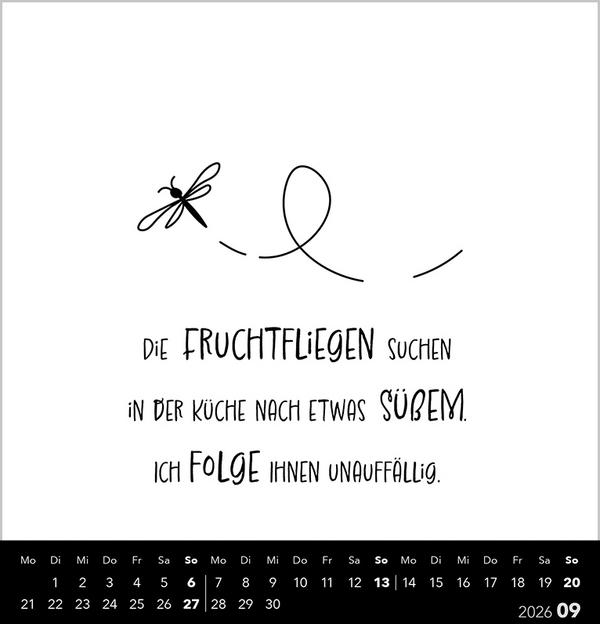 Produktbild Visual Words Black 2026