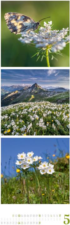 Image du produit Nature Triplet-Kalender 2026 (33 x 100 cm, Couverture rigide, Français, Allemand, Anglais)