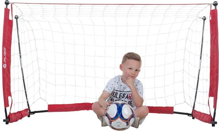 Actual product image Pure2improve Football goal