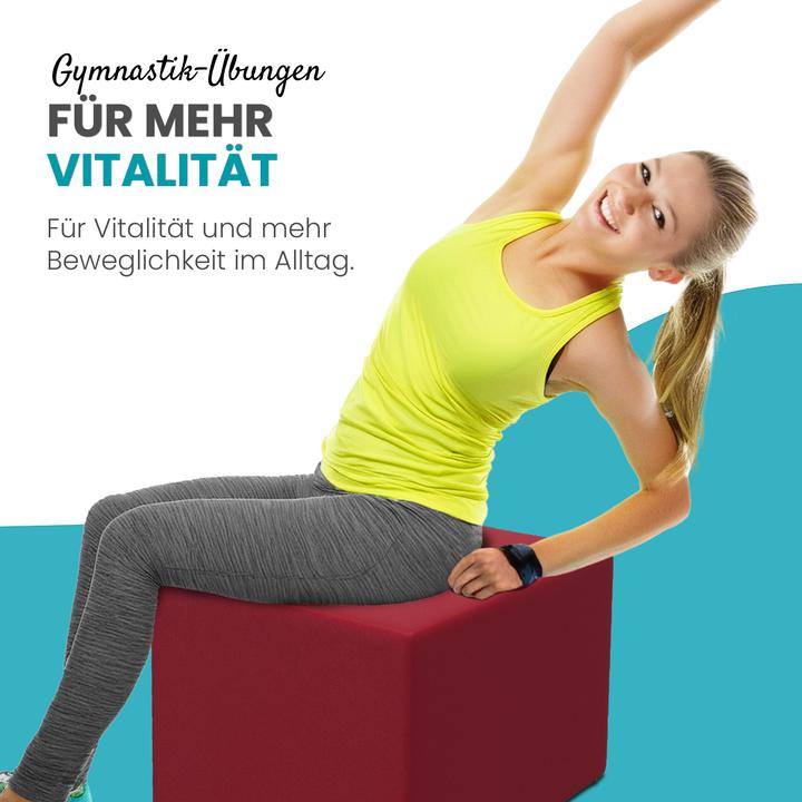 Produktbild Aktivshop Bandscheibenwürfel