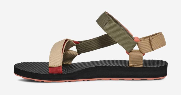 Burnt Olive Multi